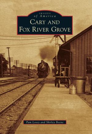 Cary & Fox River Grove (SKU 1033988660)