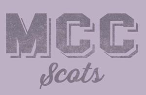 Image of Comfort Fleece Hood -  stardust