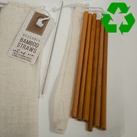 Bamboo Straws In Pouch