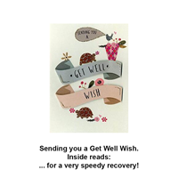 Get Well Tortoises Card