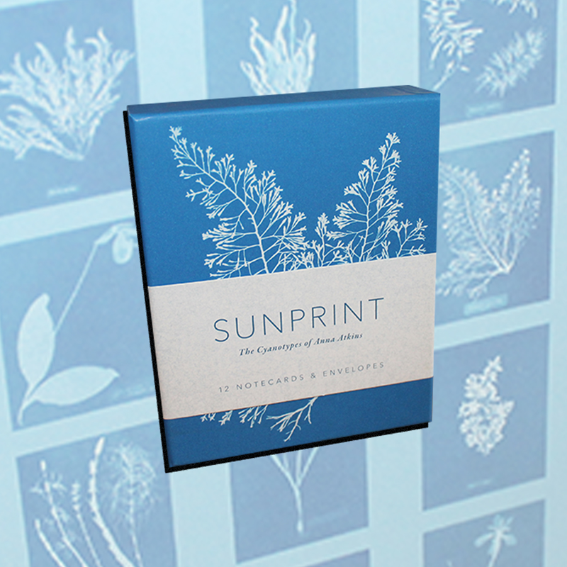 Sunprint Notecards (SKU 10343500111)